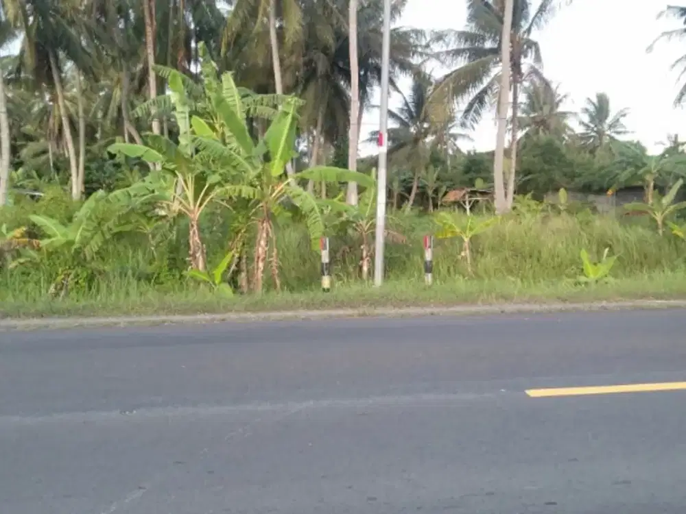 tanah 8000 meter di jalan lintas sumatera kalianda