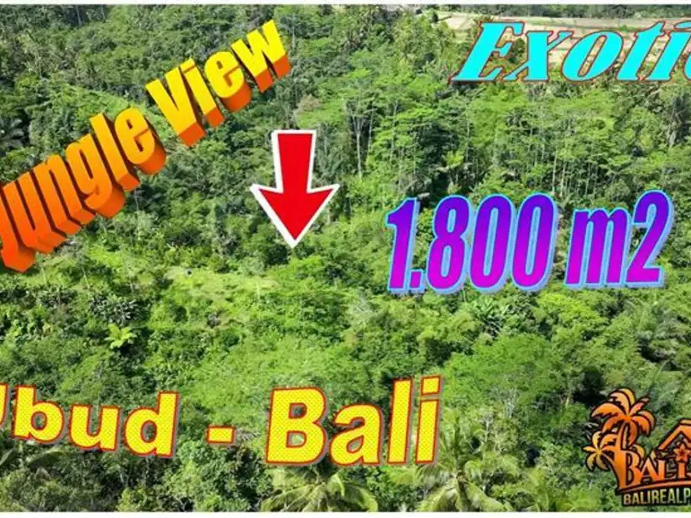 Affordable 1,800 sqm Green Lush condition in Ubud Tegalalang