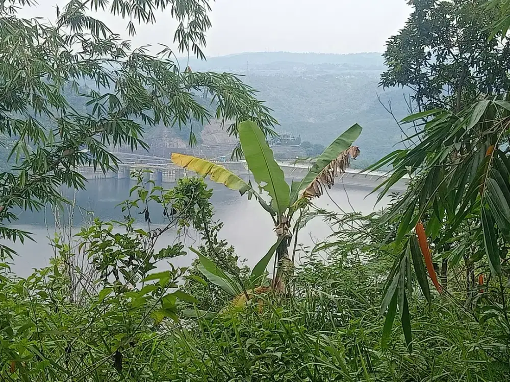 Tanah di Pinggir Waduk Cirata Bandung Barat Pinggir Jalan Akses 2 Mobi