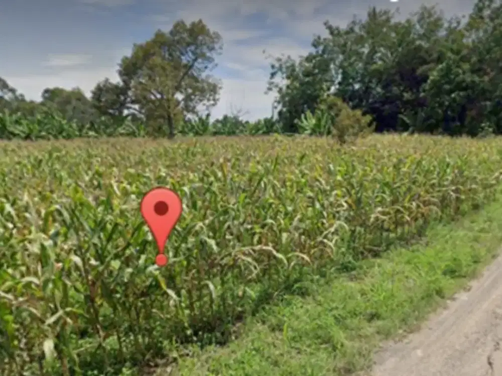 tanah 30 hektar di natar