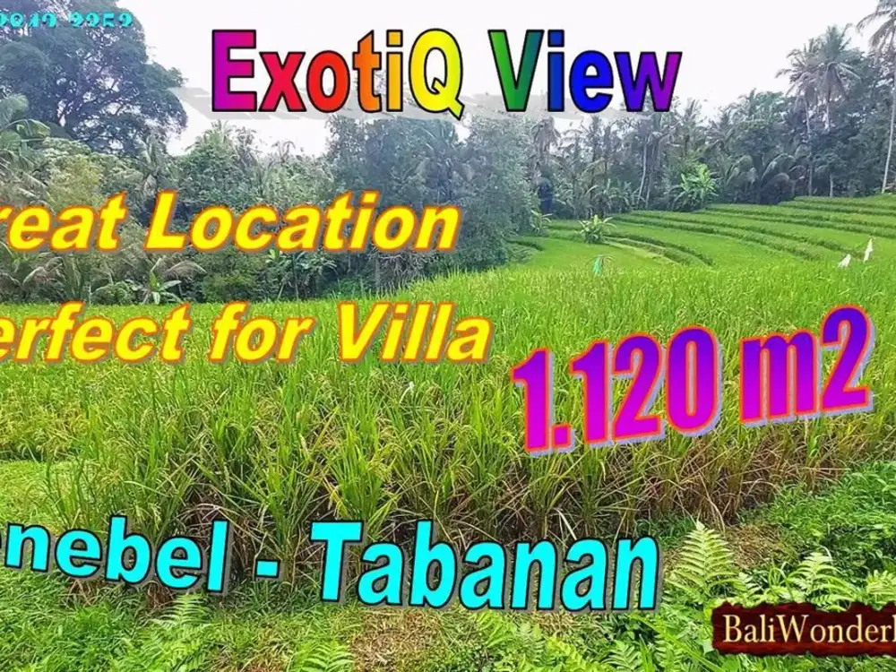 Dry Land for Sale 1,120 sqm in Penebel Ideal for Villa