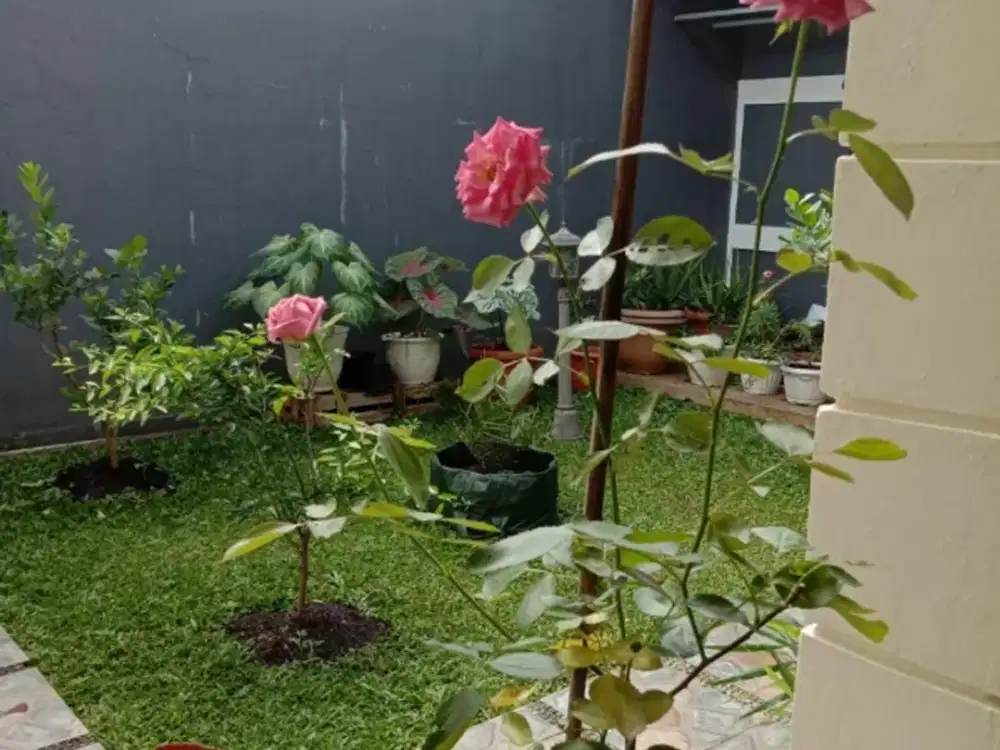 Di jual Rumah Asri di cluster Terdepan Sentul city