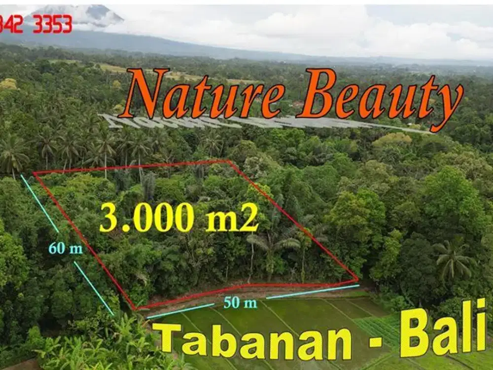 Strategis 30 Are View Sawah, Hutan dan Gunung