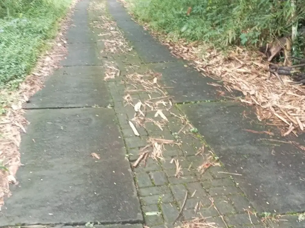 pekarangan murah turi