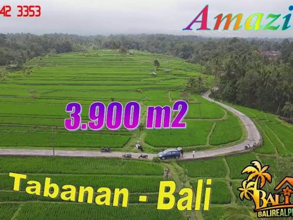 3,875 m2 Lahan Posisi Hook Dijual Murah di Penebel