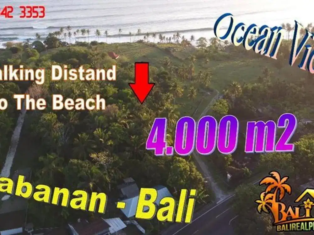 Under Market Price 4,000 sqm in Selemadeg Barat, Tabanan
