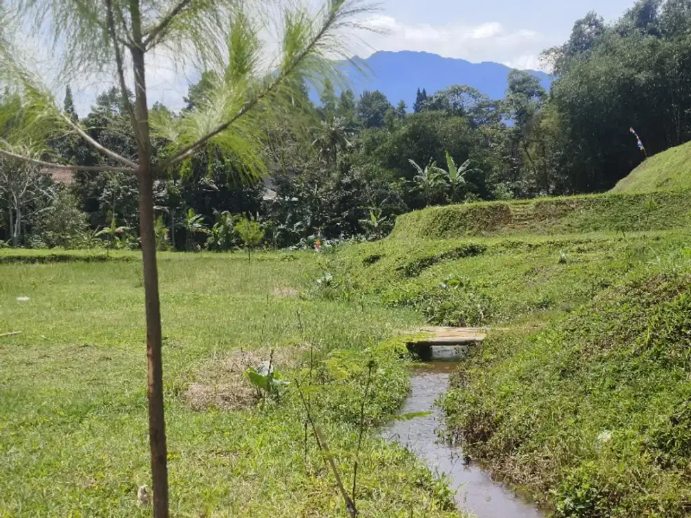 Kavling murah di puncak bogor megamendung