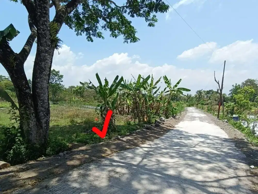 Tanah Strategis View Sawah & Gunung Merapi Area Palagan Ngaglik Sleman