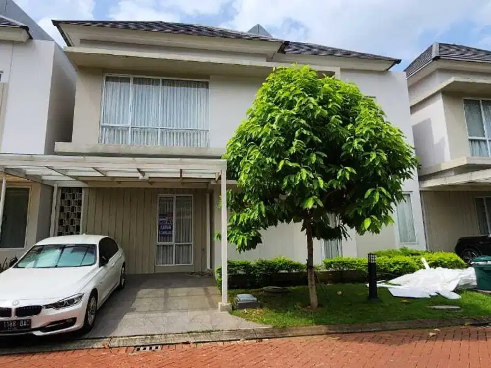 Disewakan Rumah Alma At Cluster Montana Gading Serpong