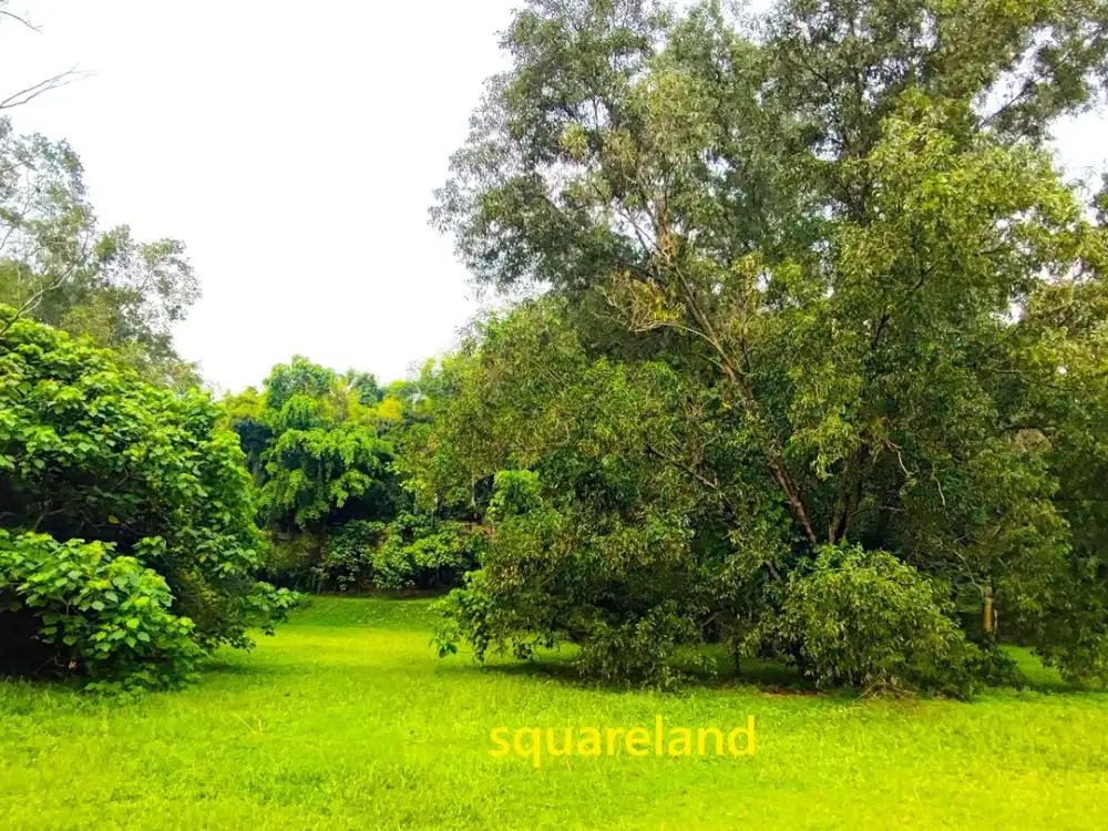 DIJUAL KAVLING INDUSTRI SELUAS 1,1 HEKTAR DI TAMAN TEKNO BSD