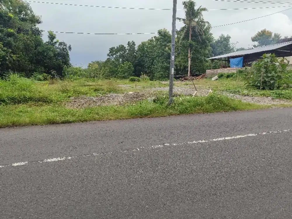 Jual Tanah Jl Godean km 16 Utara Jalan, lt2.155 ld32.m