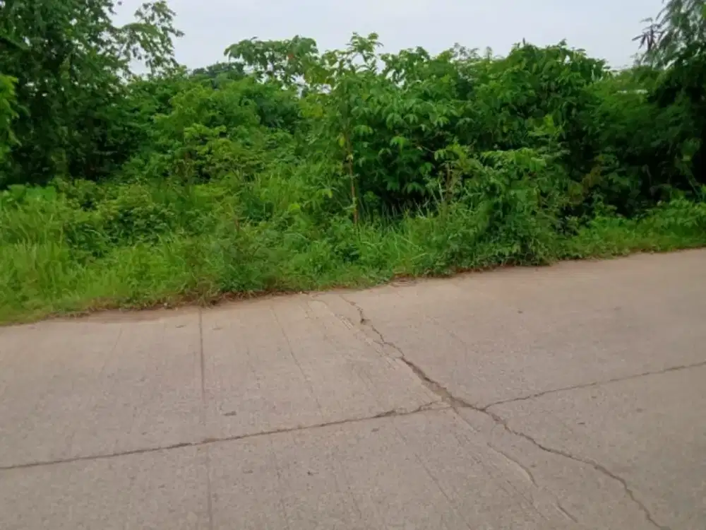 dijual tanah cocok buat industri/ Cikarang Selatan kabupaten Bekasi