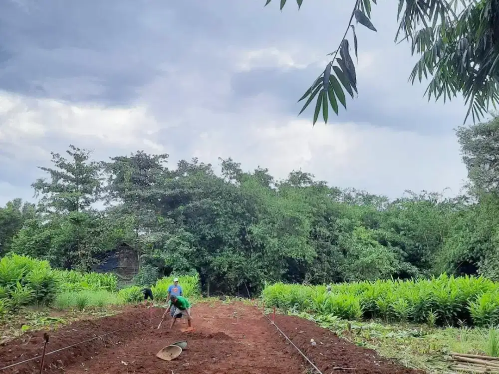 Posisi Hook Hanya 5 Jt/m2. Area Gunung Putri, Bogor