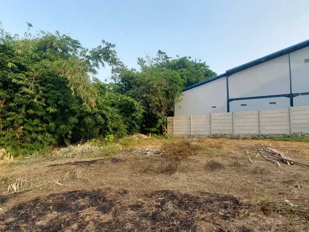 2 Jt-an Kavling SHM Dekat SMP PGRI Gandoan. Layak Huni dan Siap Bangun