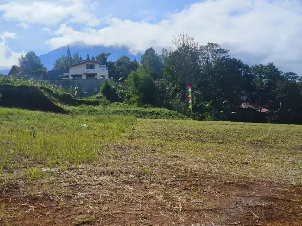 Tanah Luas 250 Meter Persegi Di Megamendung Puncak Bogor