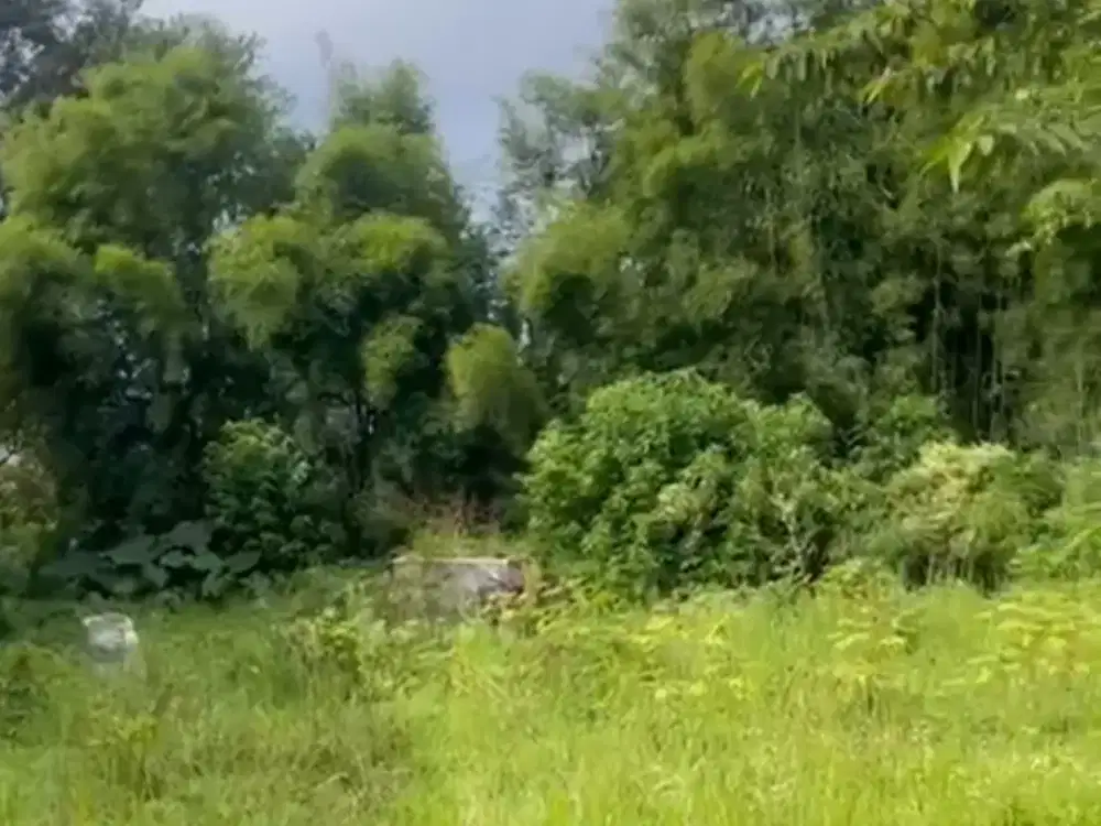 Tanah Di Lokasi Strategis Samping Wisata Park Zoo Lembang