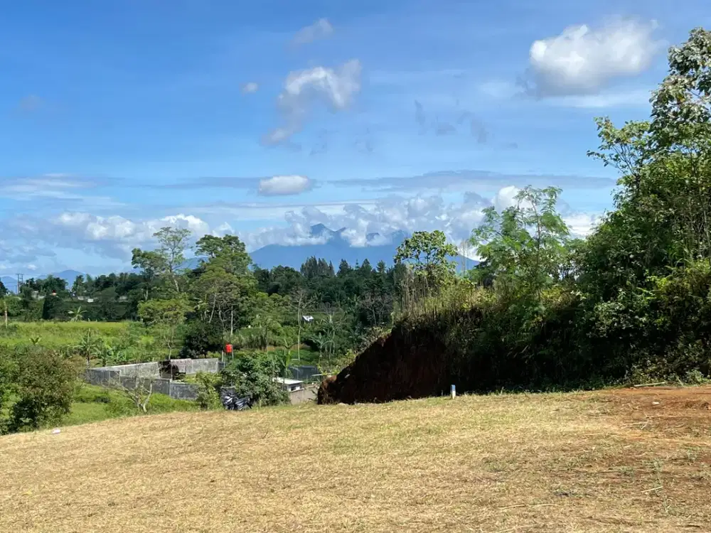 Tanah di cisarua puncak dekat taman safari puncak