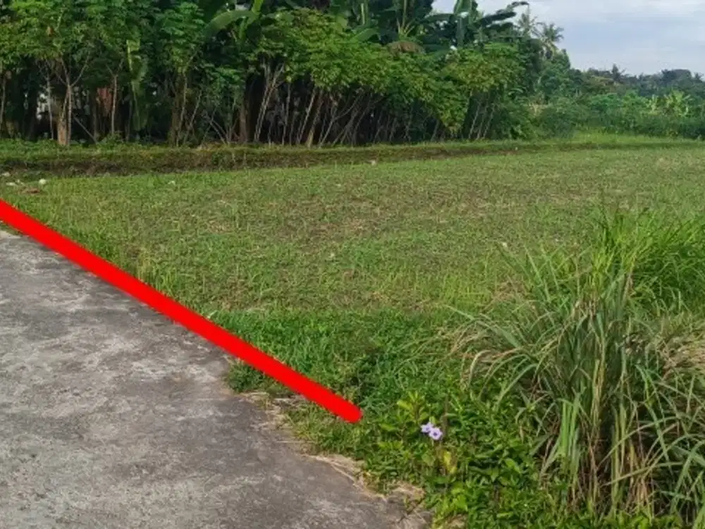 Dijual Sawah Bagus Murah di Barat Gor Sleman