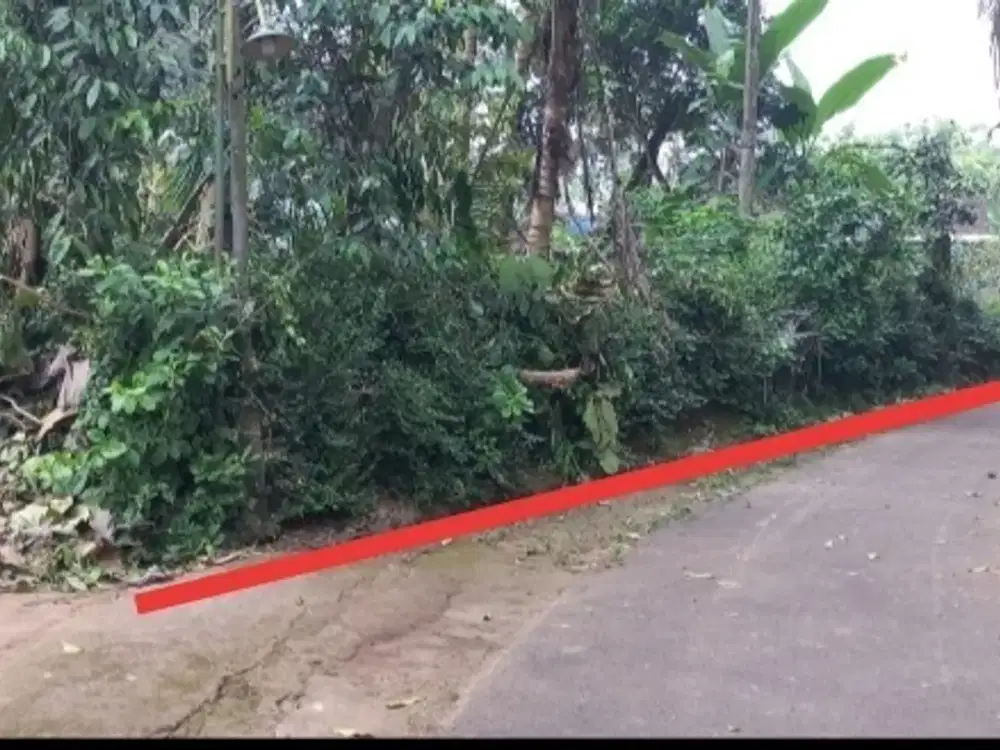 DiJual Tanah Pekarangan Murah di Barat Pasar Balangan Minggir