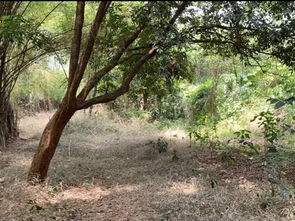 Disewakan atau Jual Tanah di Jl. Raya Sawangan, Lokasi Strategis!