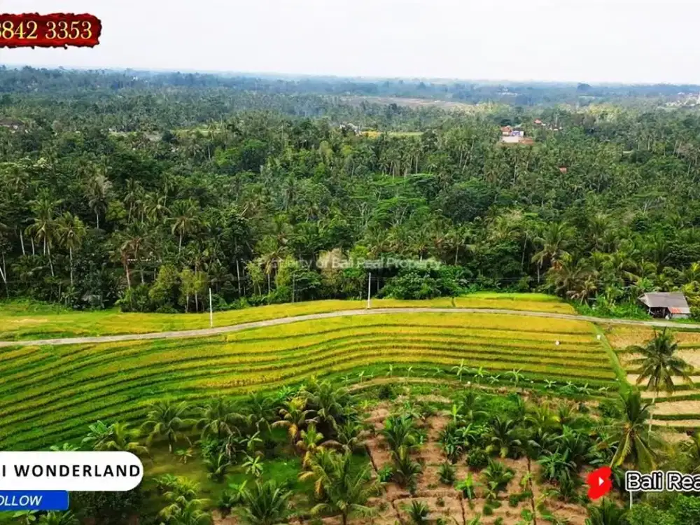 5,300 m2 Tanah Murah Akses Jalan Mobil
