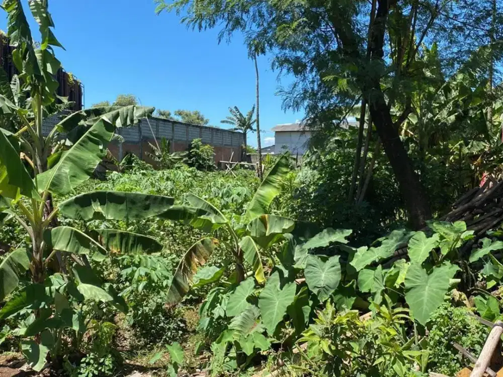 Dijual Tanah di Legok Depan Jalan Raya Besar Cocok untuk Gudang