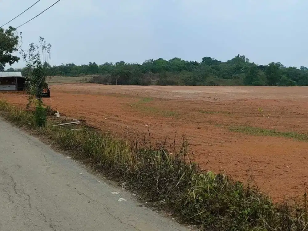 Dijual Lahan Cocok Komersial dan Industri di Jalan Raya Citeras