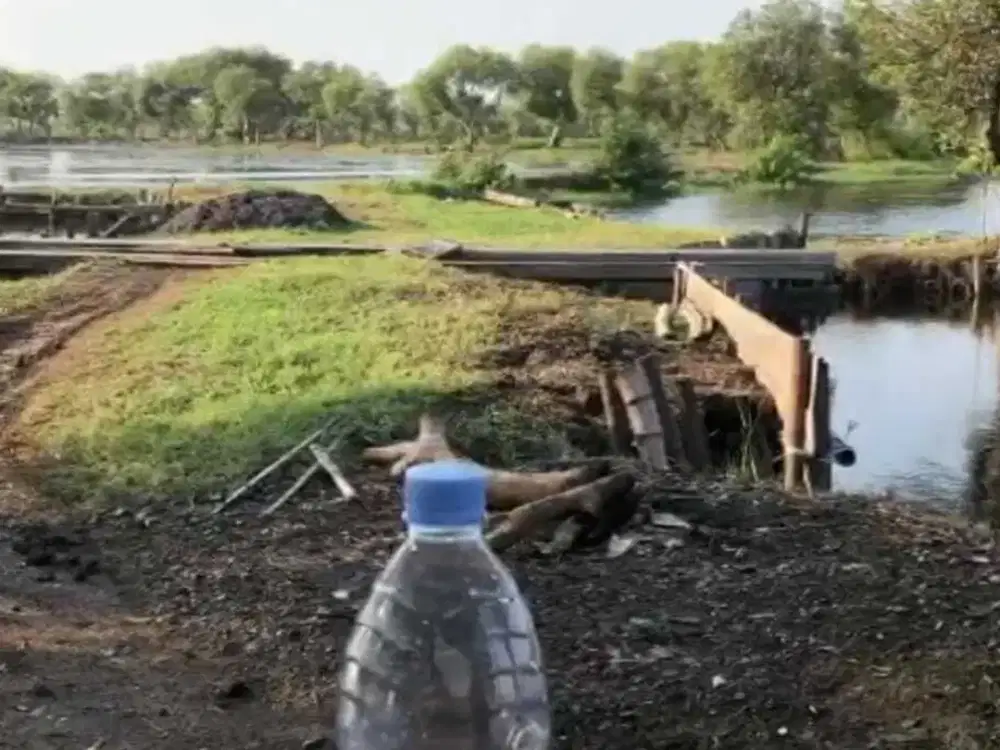 Dijual tanah tambak candi Sidoarjo cocok untuk usaha