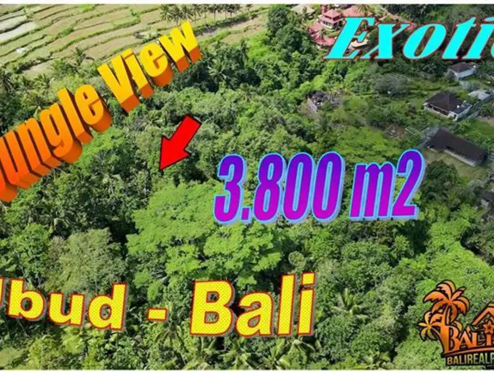 Exotic yet affordable 38.0 Are in Ubud Tampaksiring
