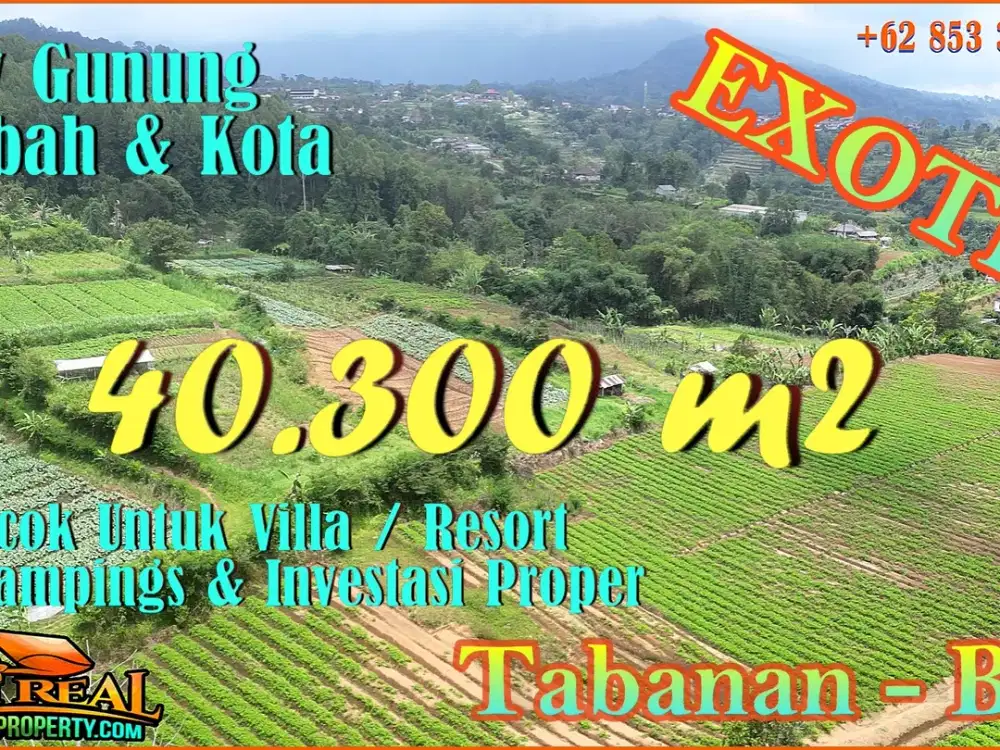 Under Market Price 40,300 sqm in Baturiti closed to Beratan Lake