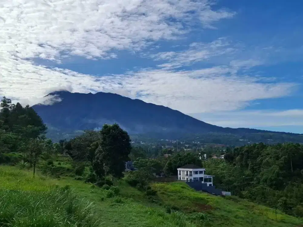 Tanah di puncak luas 2.157m2 megamendung bogor
