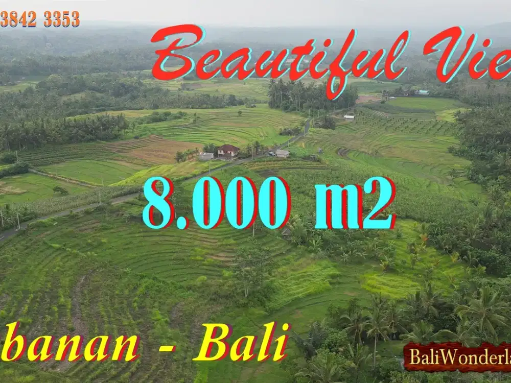 Mostly Flat, Slightly Terraced Land for Sale in Selemadeg