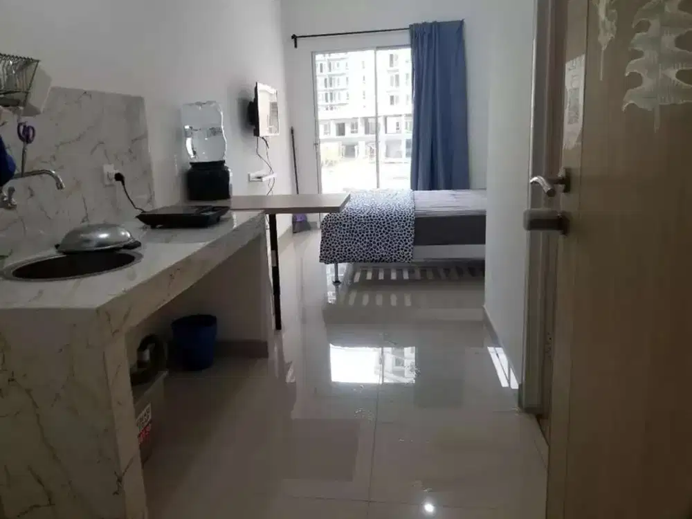 Apt paradise mansion palm city