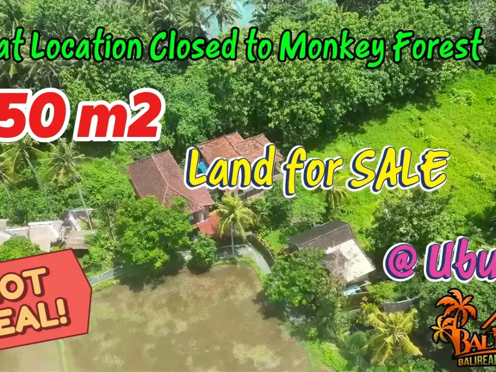 Walking distance to Monkey Forest Ubud 8.5 Ares Flat Land