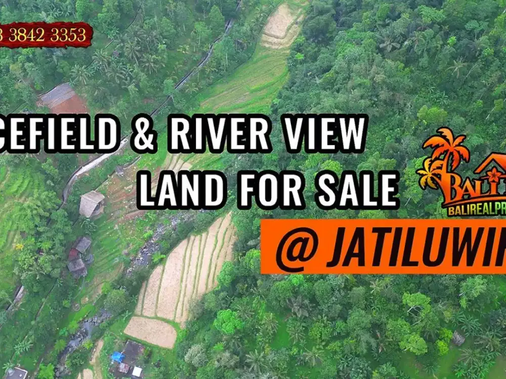 Freehold 6,000 m2 Ideal for Complex Villa in Jatiluwih