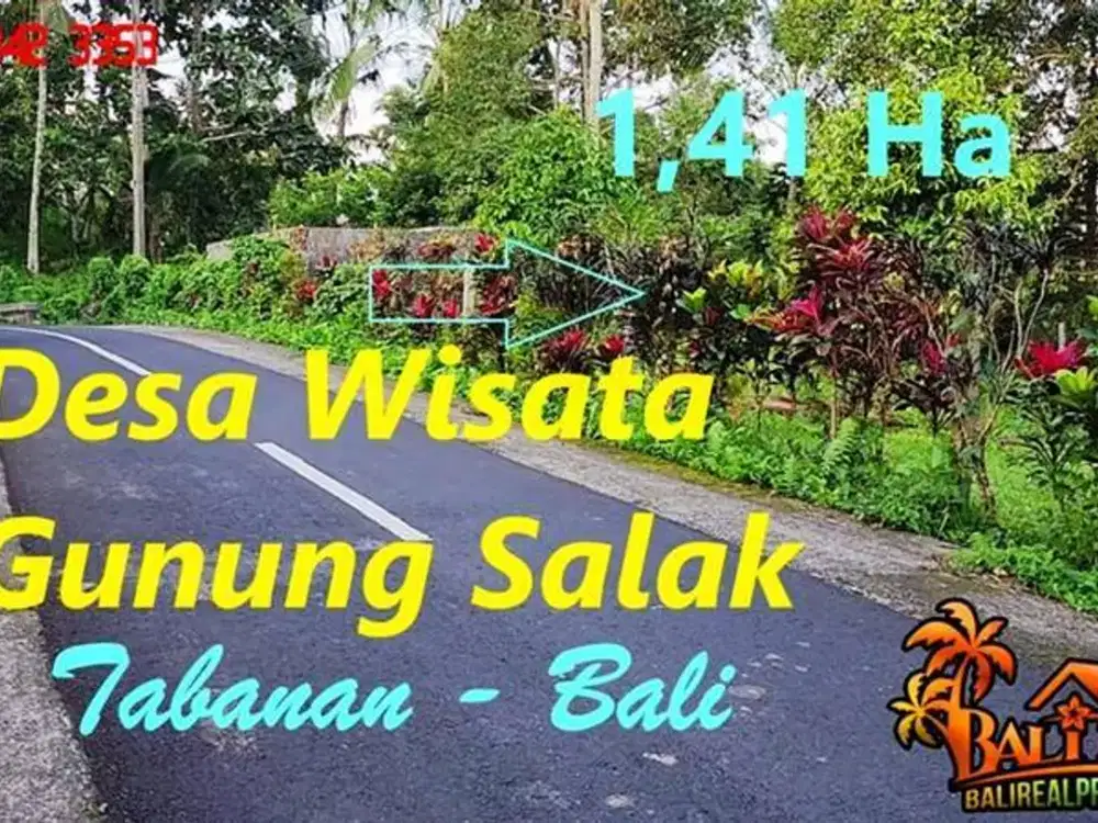 Asphalted Main Road 14,100 Perfect for Investasion