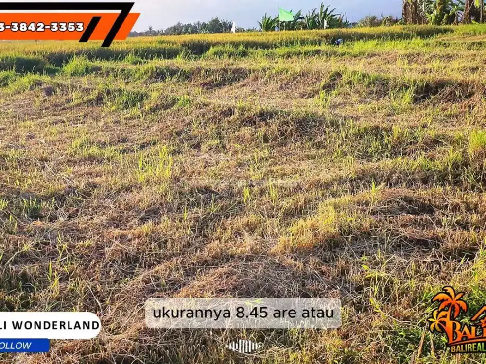 Dijual 845 m2 Potensial untuk Villa Akses Jalan Mobil