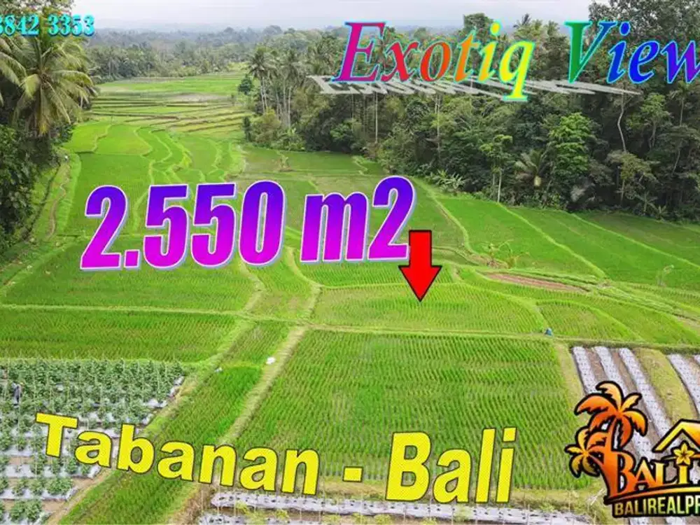 2,550 m2 Lahan dgn Akses Jalan Beton di Penebel