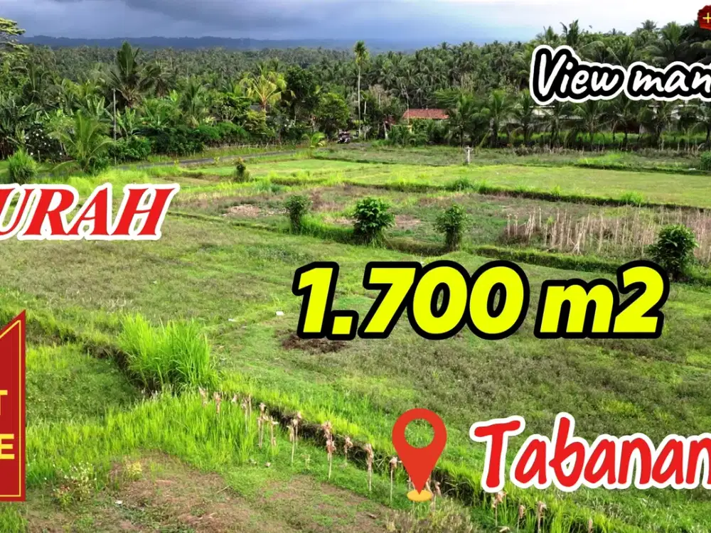 1,700 m2 Pinggir Jalan Aspal Tanah Bekas Sawah