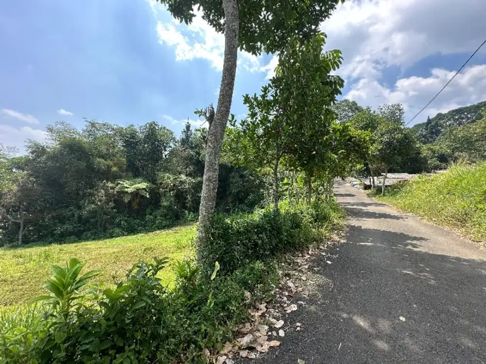 Kavling murah di wisata puncak cisarua bogor