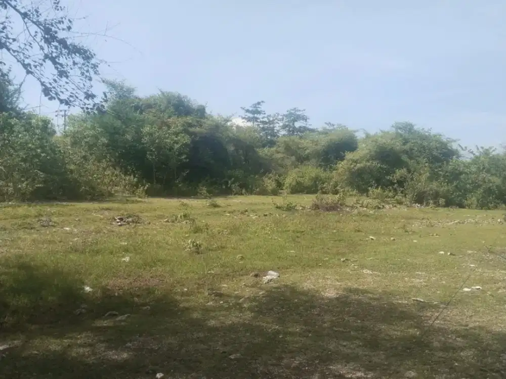 Tanah Komersil 1,7 Ha di Balangan, Jimbaran Bali, Harga Menarik