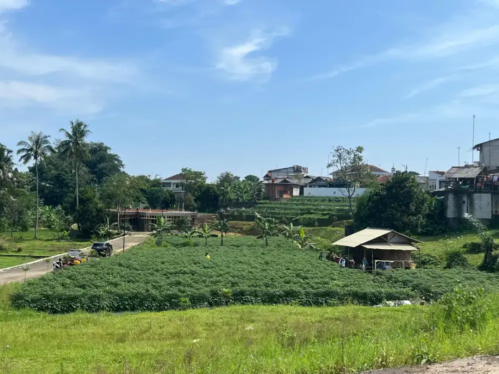 Jual cepat tanah di megamendung puncak bogor