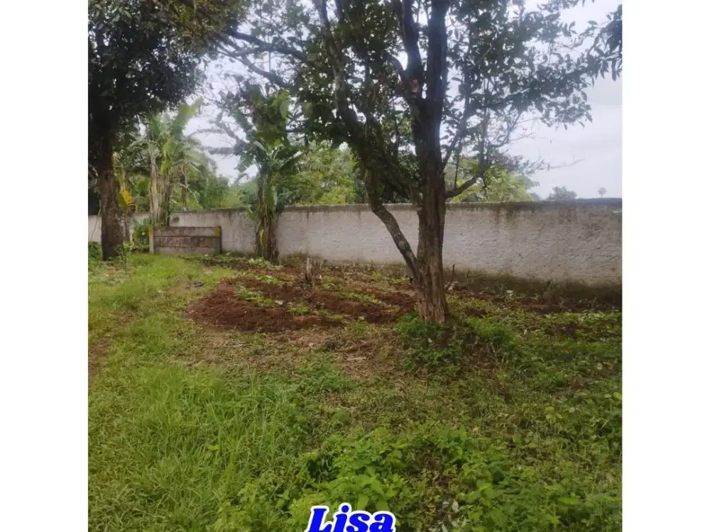 KAVLING TERMURAH DI LEGOK KARAWACI SURAT SHM 1.351 AREA CUMA 2 JUTAAN