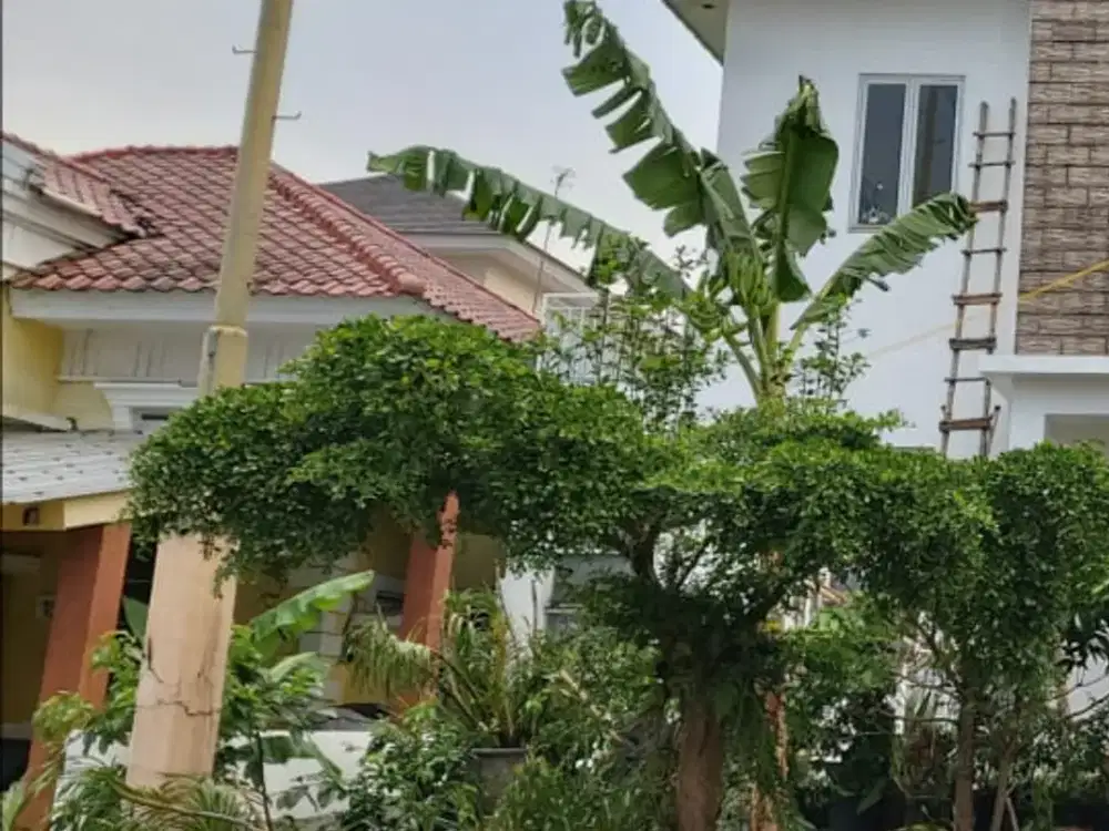 Murah, Rumah di Sentul Selatan