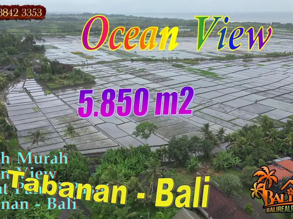 Jalan Pribadi 5,850 m2 Tanah Datar Dekat Pantai Pasut