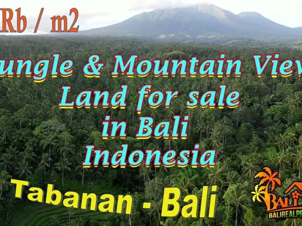 Termurah di Tabanan 12,980 m2 Potensial untuk Investasi
