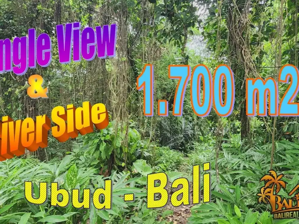 Dijual 1,700 m2 lahan Kebun Akses Mobil Jalan Desa