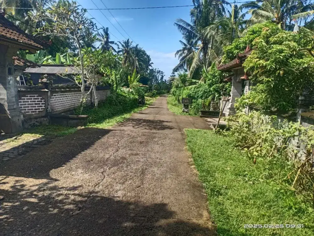 Residential land of 22 are for sale in Mambang, Tabanan