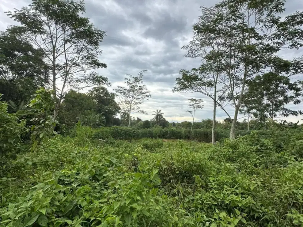 Dijual tanah kavling tenjo bogor 1jutaan per meter SHM