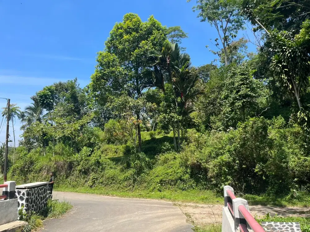 Dijual Tanah Cocok Untuk Villa dan Ada Akses Jalan Di Cigombong